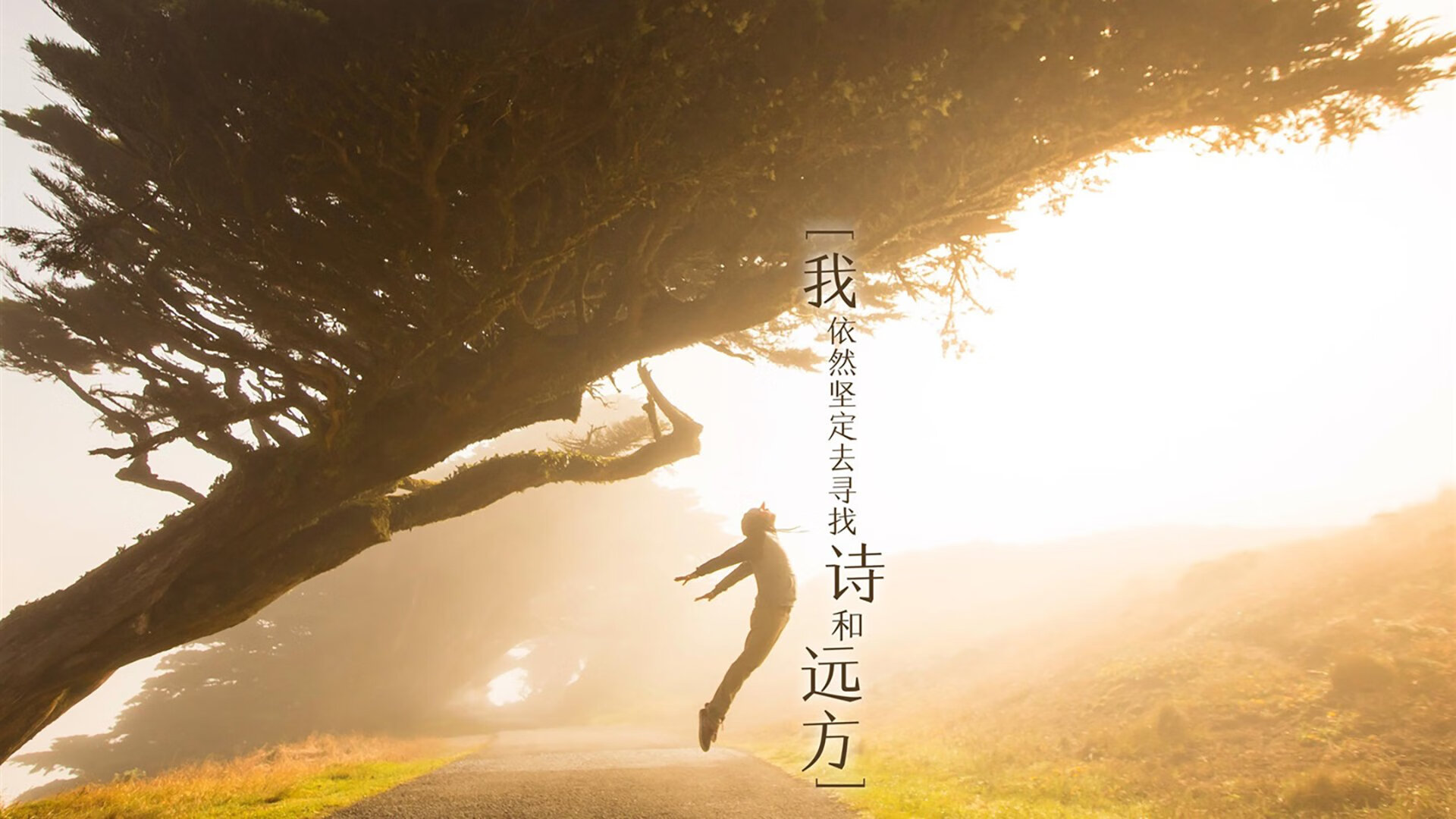 im体育网站-电竞直播平台推出新AI解说，提升观赛体验，电竞直播介绍
