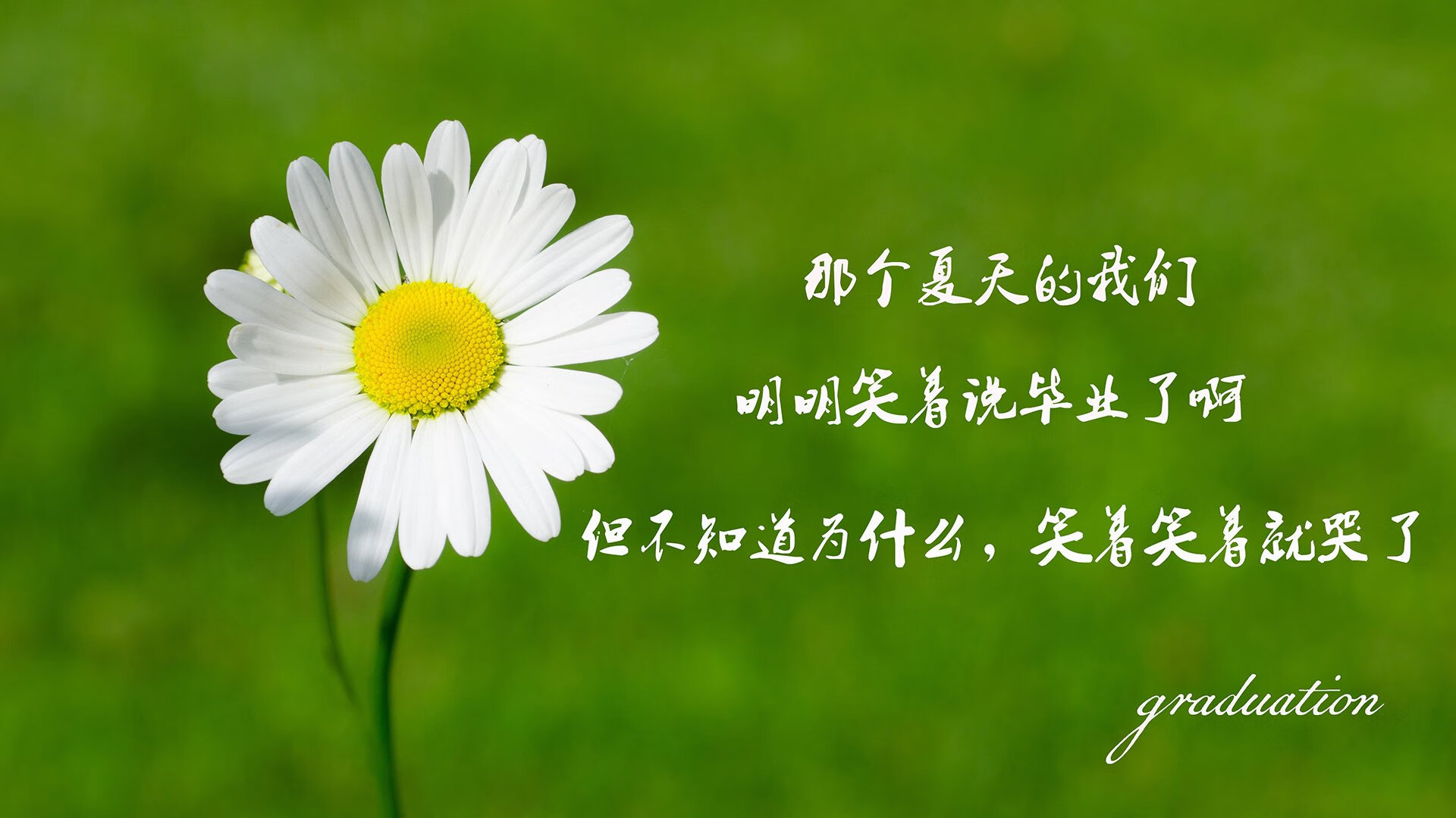 im体育官网-奇才比尔再度发威主场取胜，奇才比尔什么时候复出