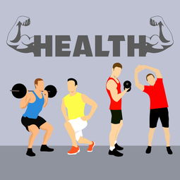 IM Sports-篮球运动员专项体能训练技术创新与实践，篮球专项体能训练的心得体会