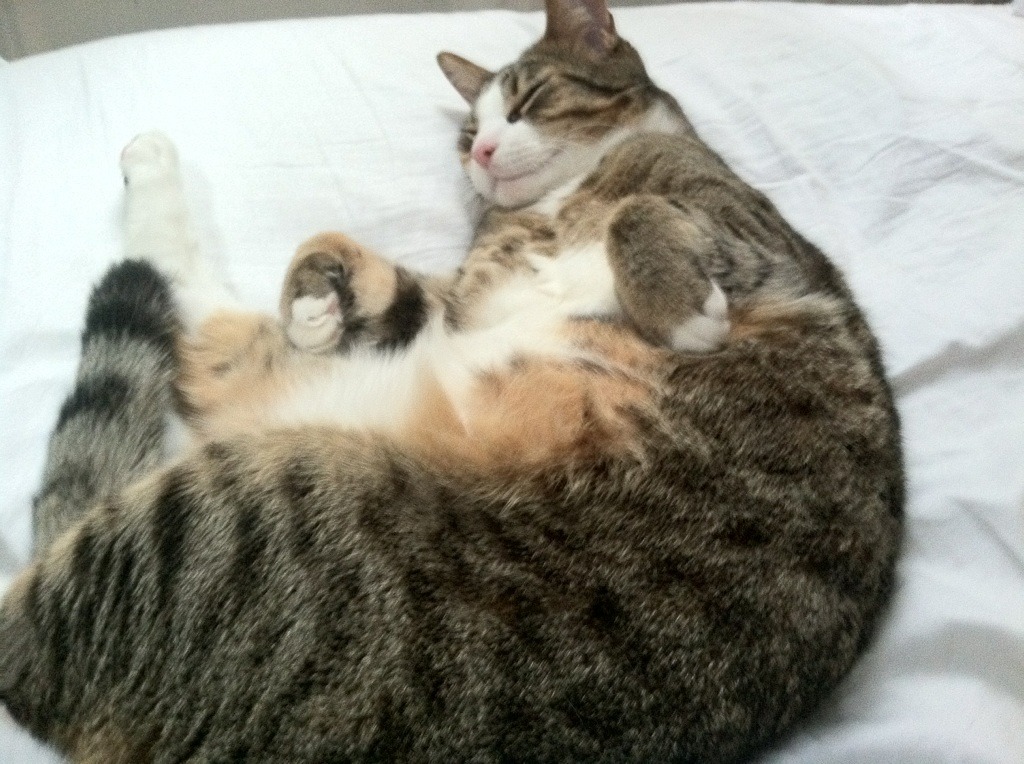 tiyu-im官方网站-詹姆斯表示将以身作则带动球队迎接挑战，詹姆斯解释