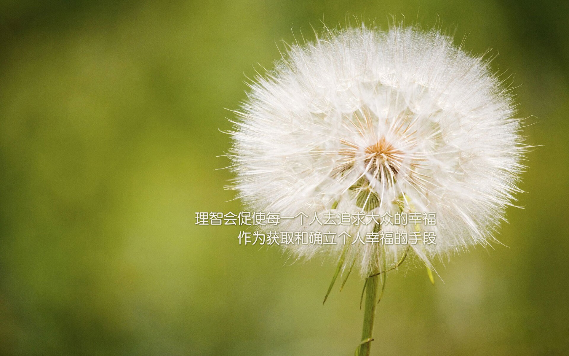 im电竞官方-青少年赛事吸引大量家长关注体育素养成为家庭教育新焦点，实施青少年体育活动促进计划培育青少年体育爱好